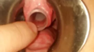 kaba-6324 pirnoarap