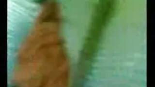 Amatör danica bir kedi arappornofilmi